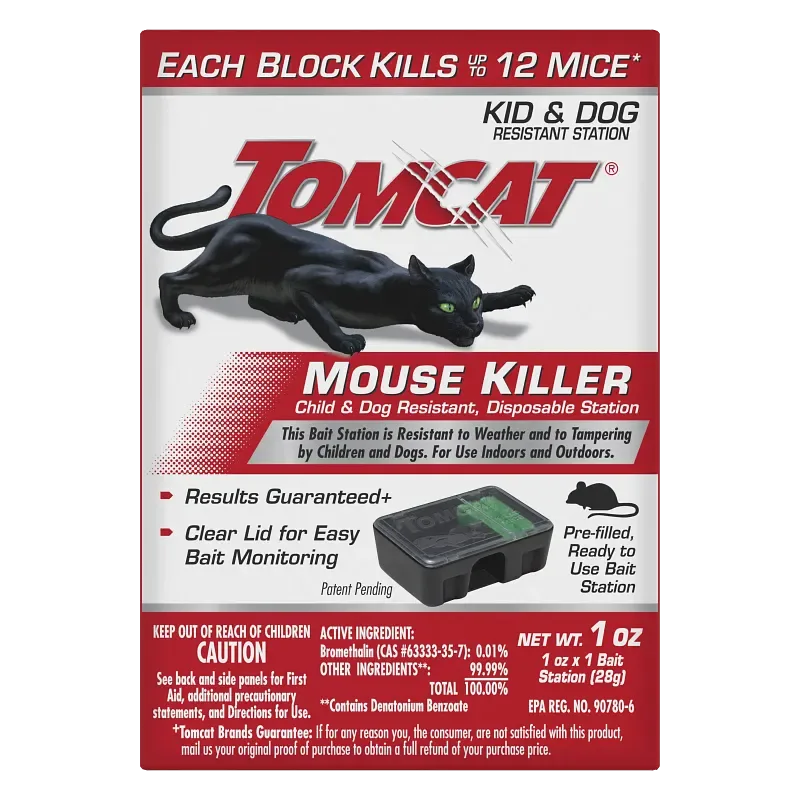 Featured image for Best pest control for mice: 7 traps and bait stations compared