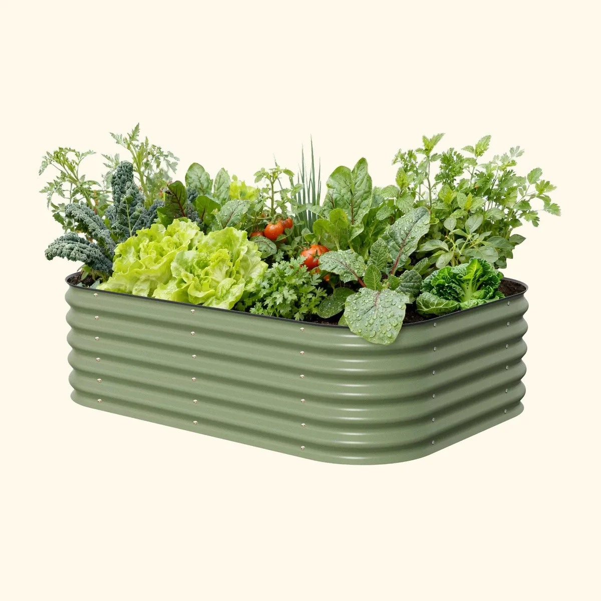 Featured image for Best raised garden beds for beginners: 7 easier setups