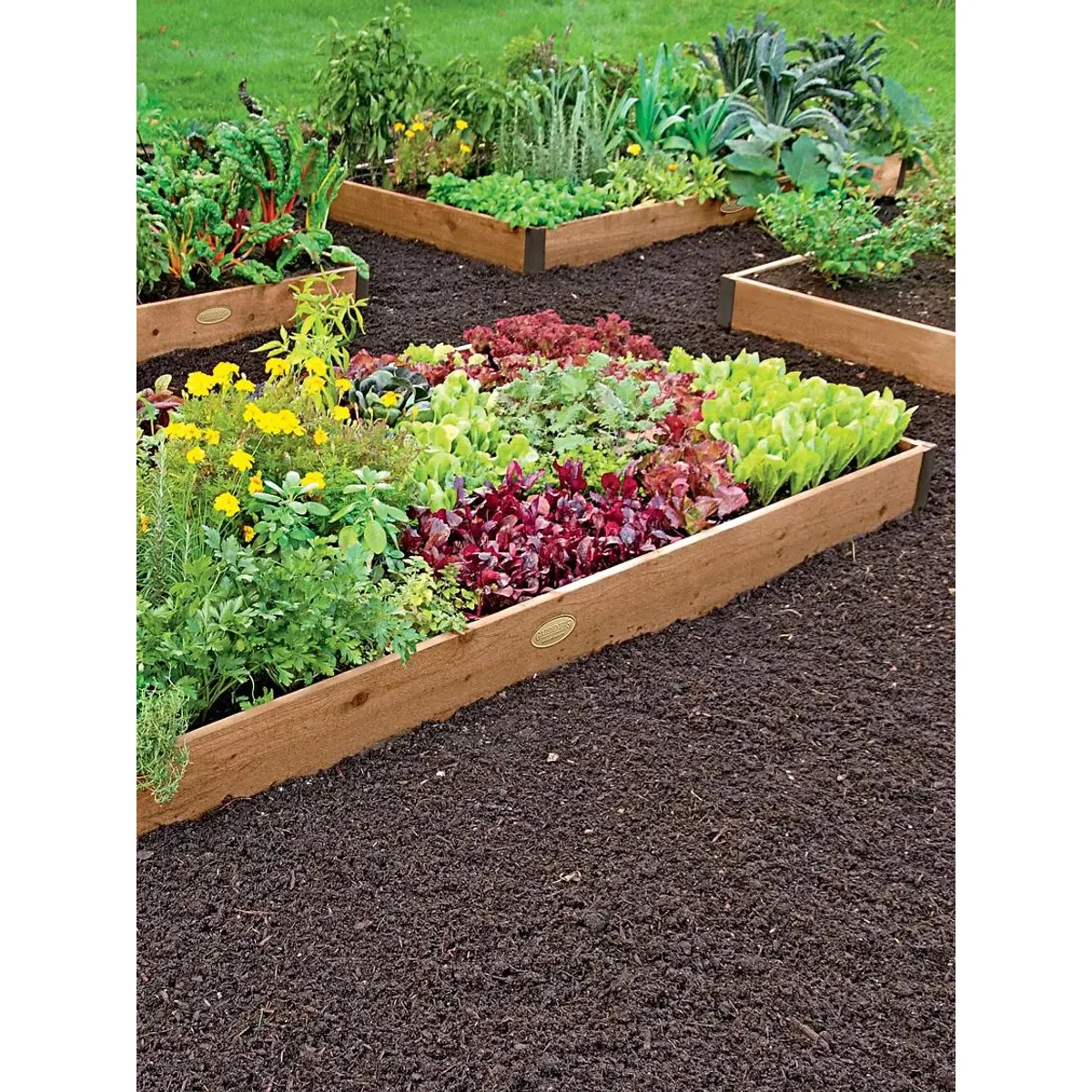 Raised-bed trellis for climbing plants